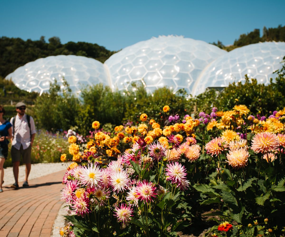 eden project6